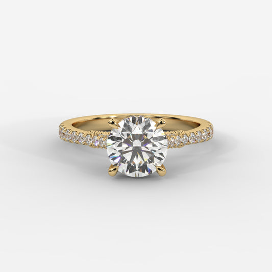 Elena Cathedral Hidden Halo Ring - Round