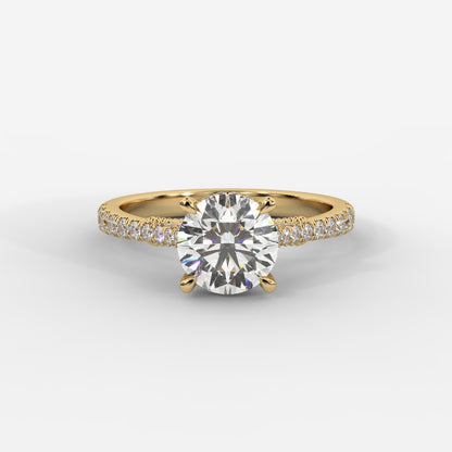 Elena Cathedral Hidden Halo Ring - Round