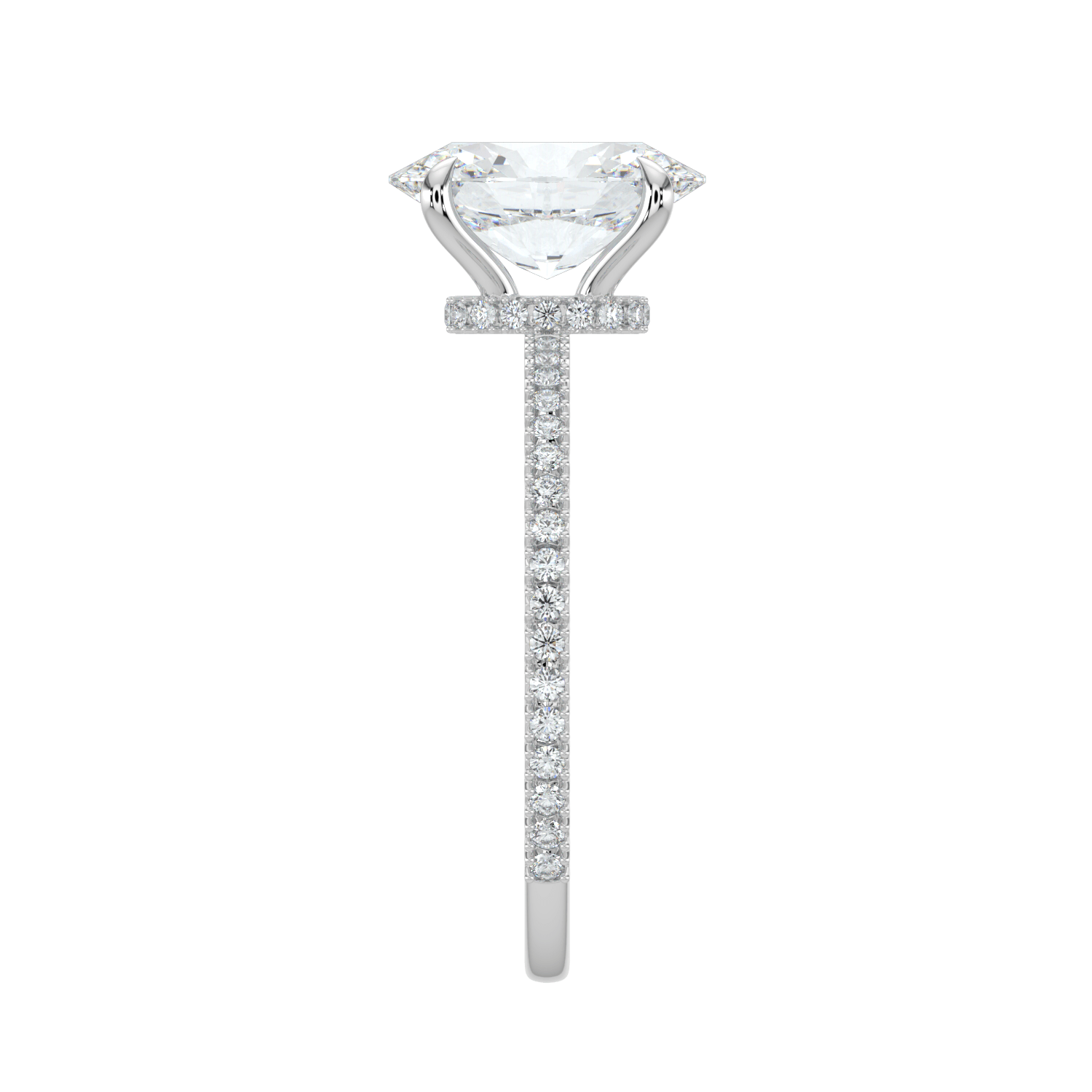 Charlotte Hidden Halo Ring with Pavé Band - Oval - AYKA JEWELS