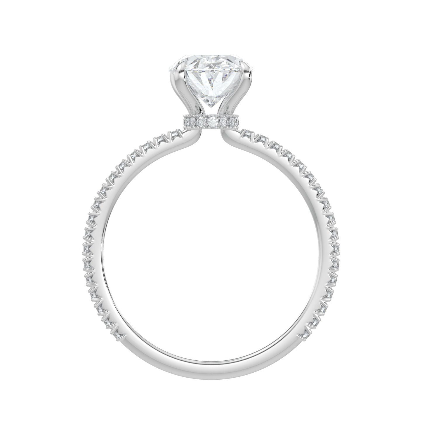 Charlotte Hidden Halo Ring with Pavé Band - Oval - AYKA JEWELS