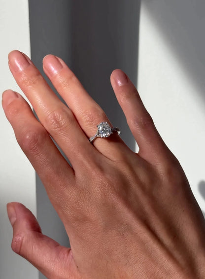 Florence Pavé Split Shank Diamond Ring – Oval - AYKA JEWELS